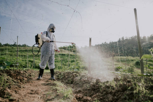 Best Ant Control Services  in Hartford, WI