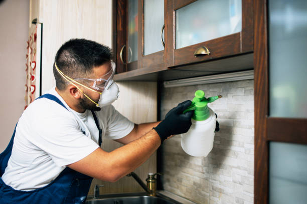 Best Residential Pest Control  in Hartford, WI