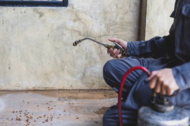 Best Termite Control Services  in Hartford, WI